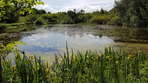 Quiet Day September 2026