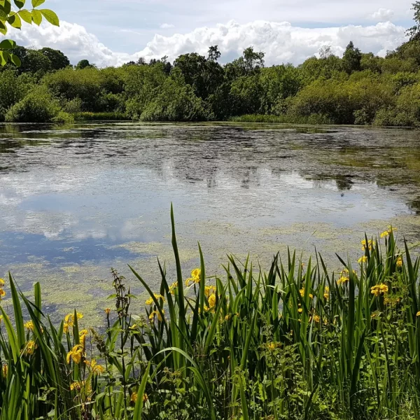 Quiet Day September 2026