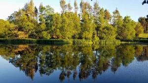 Quiet Day October 2026