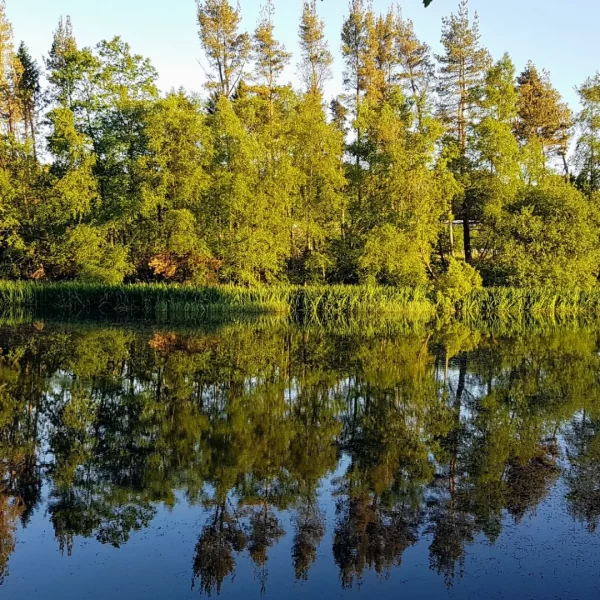 Quiet Day October 2026