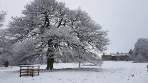 Quiet Day of Reflection during Lent - Feb 2026