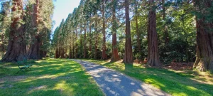 The Embodied Contemplative Sept 2026