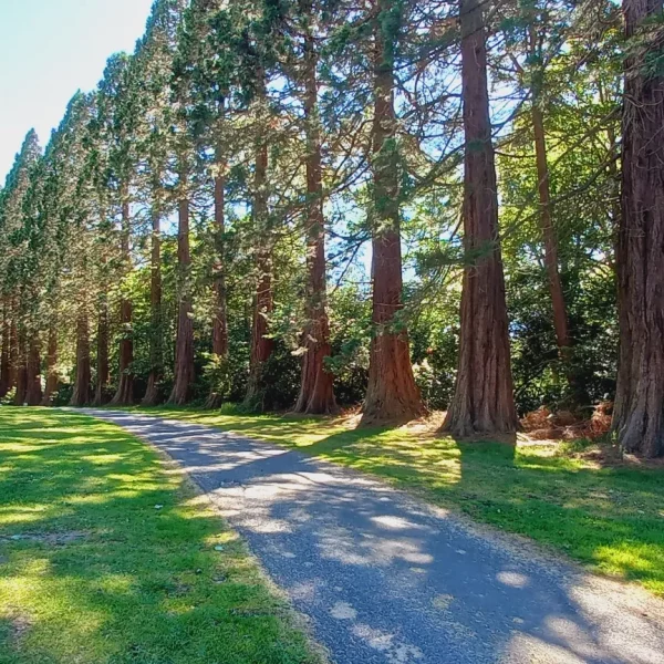 The Embodied Contemplative Sept 2026