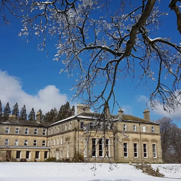 Day of Consolation with Chris Smith Nov 2026